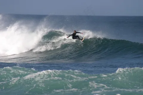 单机狮子熊猫老虎机游戏:火山岛 免安装绿色中文版 单机狮子熊猫老虎机游戏:火山岛 免安装绿色中文版