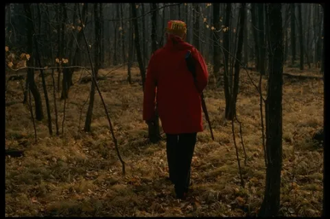 乐宝：在韩国的熊猫“福宝”有多可爱？