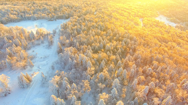 菠菜网址导航,为您集结最全最全的网站大全 菠菜网址导航,为您集结最全最全的网站大全