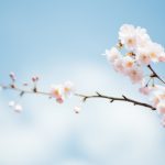 乐玩娱乐网址独家攻略,带你玩转游戏,赢得奖励! 乐玩娱乐网址独家攻略,带你玩转游戏,赢得奖励!