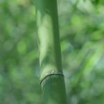 乐玩游戏平台:超值奖励等你来拿,快来一探究竟! ACAD72CC